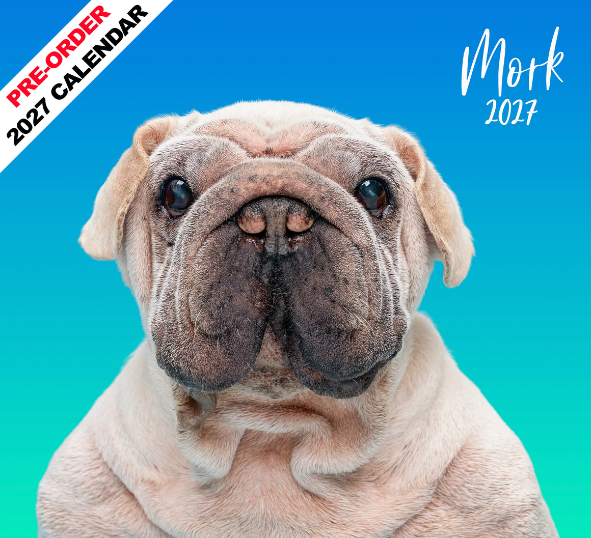 A square cover design for the 2027 Mork Calendar featuring a close-up portrait of Mork, a fawn pug, against a bright blue-to-turquoise gradient background. White script text in the top right reads “Mork 2027,” and a red-and-white diagonal banner in the top left reads “PRE-ORDER 2027 CALENDAR